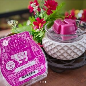 Scentsy Island Bloom Wax Bar
